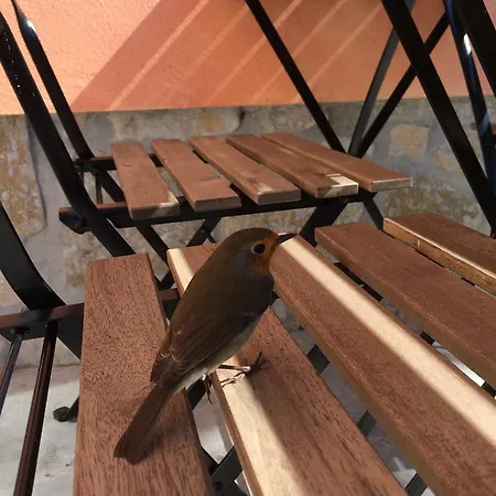 Refuge Holiday Homes - Wooden 빌라